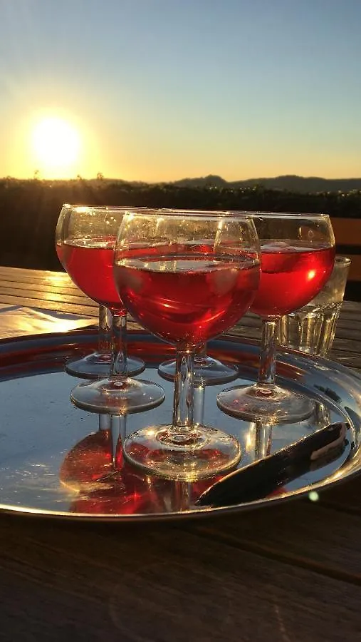 Podere Campolungo Greve in Chianti 0*,  Italien