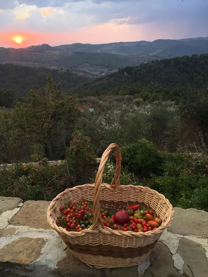 Lägenhet Podere Campolungo Greve in Chianti