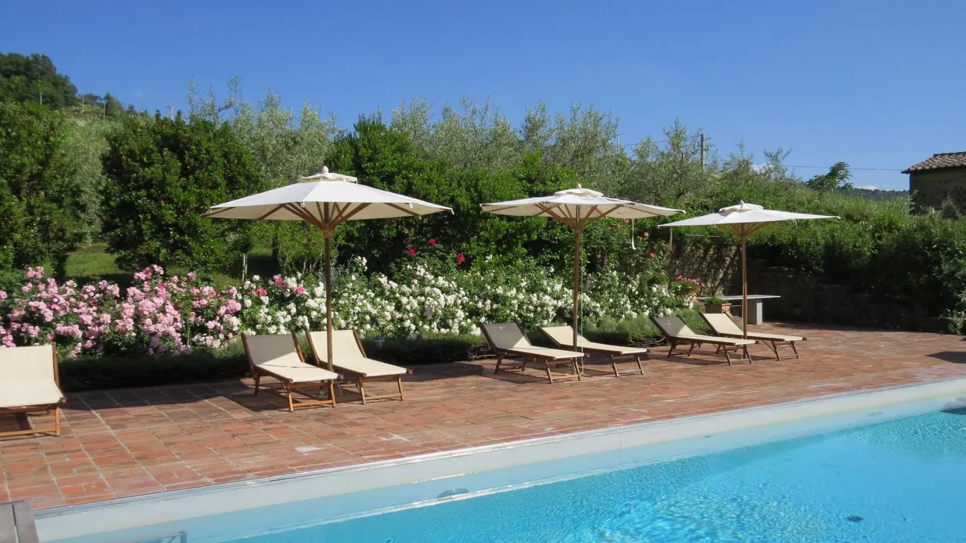 Podere Campolungo Greve in Chianti Apartment