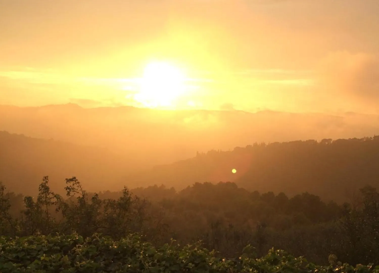 Podere Campolungo Greve in Chianti