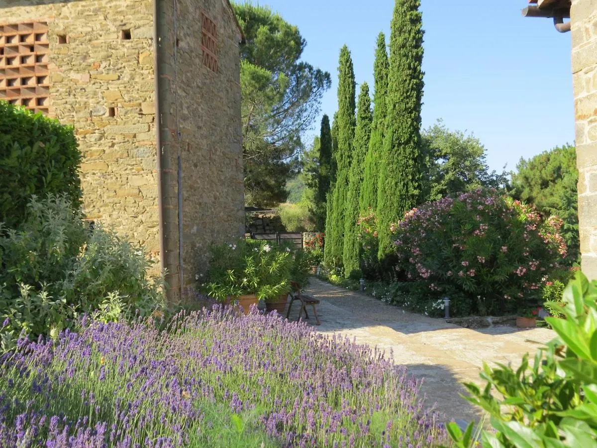 Podere Campolungo Greve in Chianti Apartment