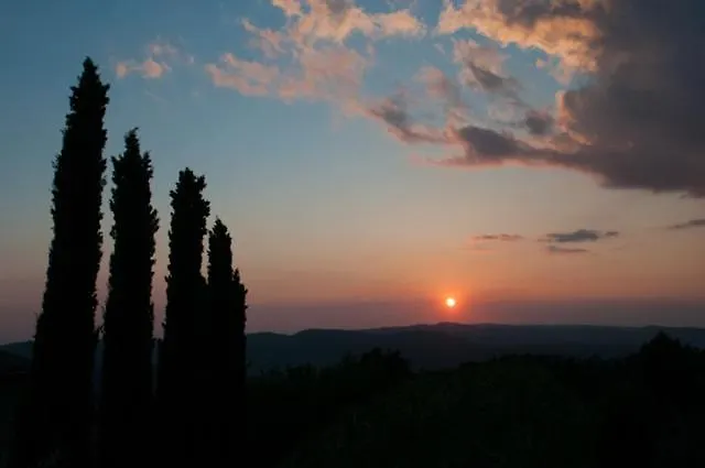 Podere Campolungo Greve in Chianti Apartment